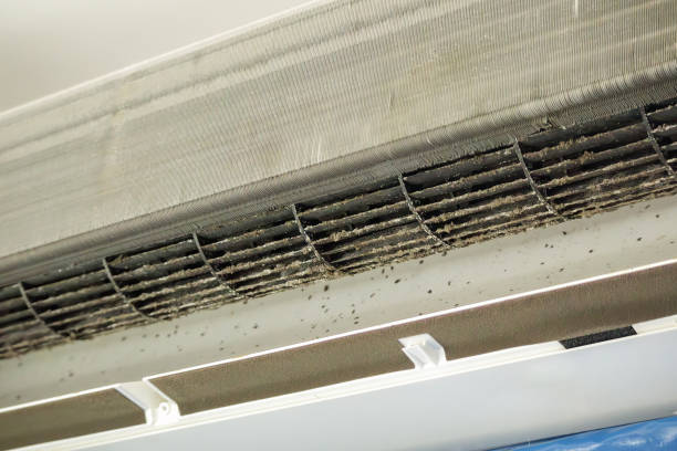 Best Dryer Vent Cleaning Services  in Riverside, PA